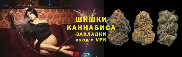 альфа пвп Горнозаводск